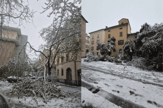 Neige